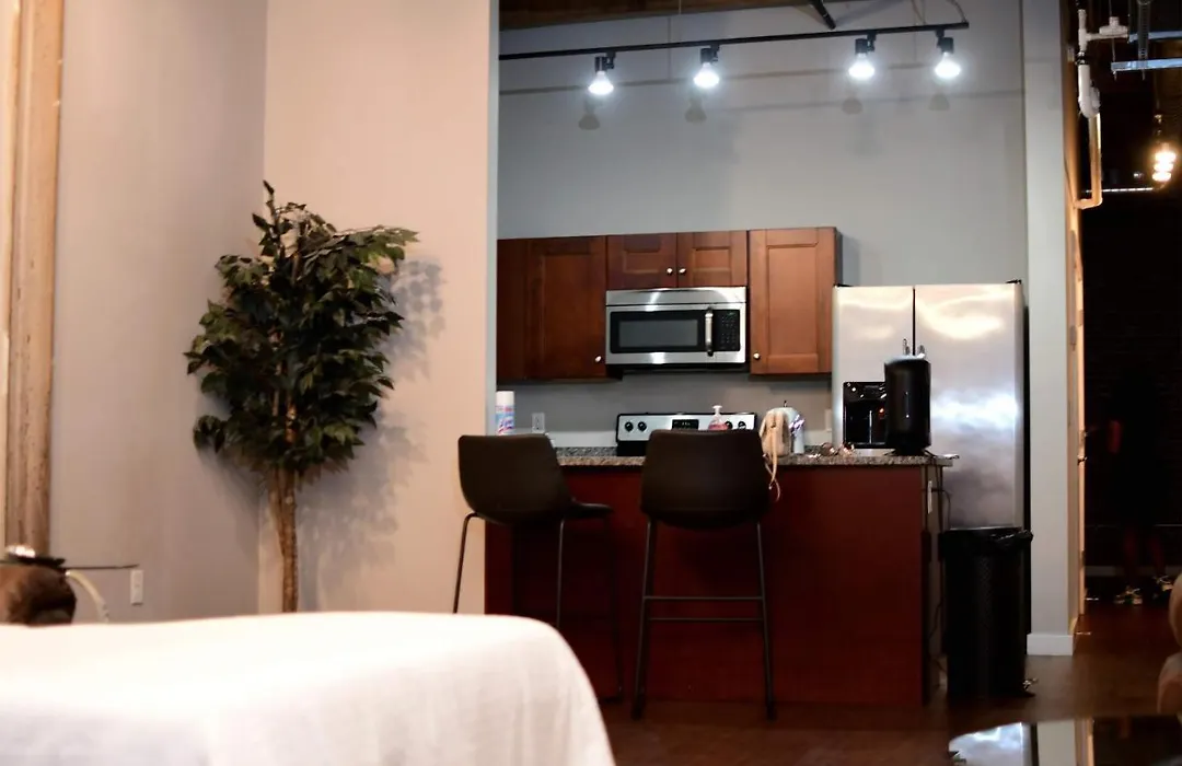 Luxury Downtown Memphis Loft-1
